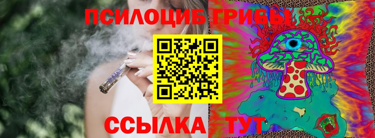 Псилоцибиновые грибы GOLDEN TEACHER  Вход с VPN  Елец  Галлюциногенные грибы GOLDEN TEACHER 